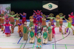 FNC-Showtanzturnier-2018-24
