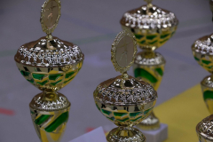 FNC-Showtanzturnier-2019-187