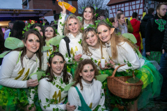 FNC-Fastnachtszug-2020-93