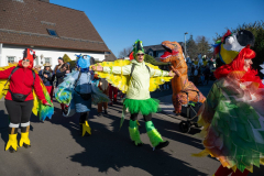 FNC-Grosser-Fastnachtszug_Stein-Fotografie-178