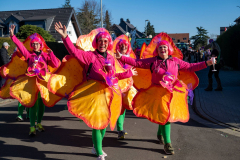 FNC-Grosser-Fastnachtszug_Stein-Fotografie-181