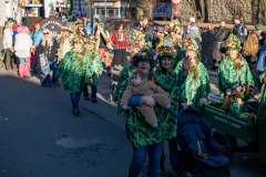 FNC-Grosser-Fastnachtszug_Stein-Fotografie-237