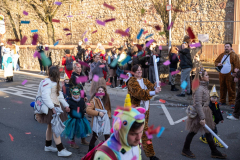 FNC-Grosser-Fastnachtszug_Stein-Fotografie-247