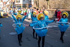 FNC-Grosser-Fastnachtszug_Stein-Fotografie-250