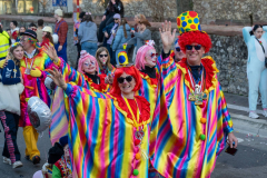 FNC-Grosser-Fastnachtszug_Stein-Fotografie-313