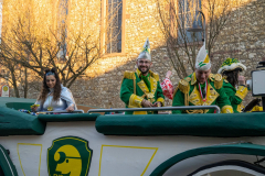 FNC-Grosser-Fastnachtszug_Stein-Fotografie-337