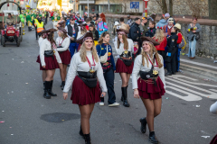 FNC-Grosser-Fastnachtszug_Stein-Fotografie-342