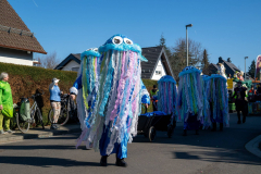 FNC-Grosser-Fastnachtszug_Stein-Fotografie-85