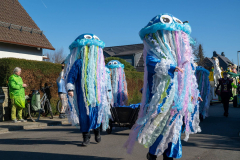 FNC-Grosser-Fastnachtszug_Stein-Fotografie-86