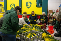 FNC-Straeusschenbunden_001_Stein-Fotografie