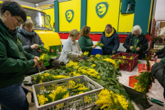 FNC-Straeusschenbunden_003_Stein-Fotografie