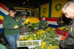 FNC-Straeusschenbunden_010_Stein-Fotografie