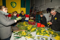 FNC-Straeusschenbunden_012_Stein-Fotografie