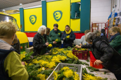 FNC-Straeusschenbunden_013_Stein-Fotografie