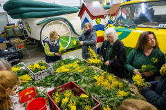 FNC-Straeusschenbunden_015_Stein-Fotografie